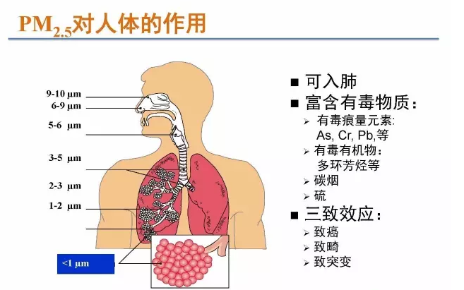 微信圖片_20200207194407